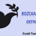 defne